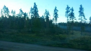 201609304.jpg