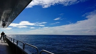 201705236.jpg