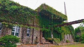 201708184.jpg