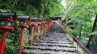 201806194.jpg
