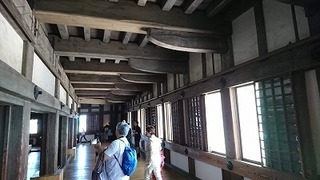 201806294.jpg