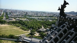 201806295.jpg
