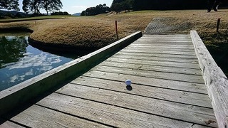 201801314.jpg